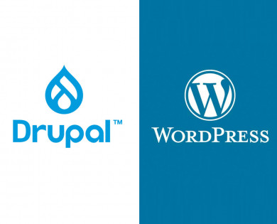 drupal-wordpress